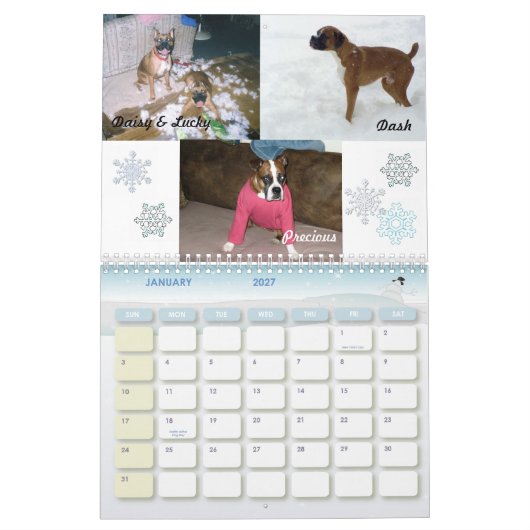 Boxer Crazy Calendar 2011 Kalender (Jan 2027)