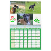 Boxer Crazy Calendar 2011 Kalender (Mar 2027)