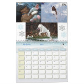 Boxer Crazy Calendar 2011 Kalender (Feb 2027)