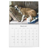 Boxer Crazy Calendar 2012 Kalender (Mar 2027)