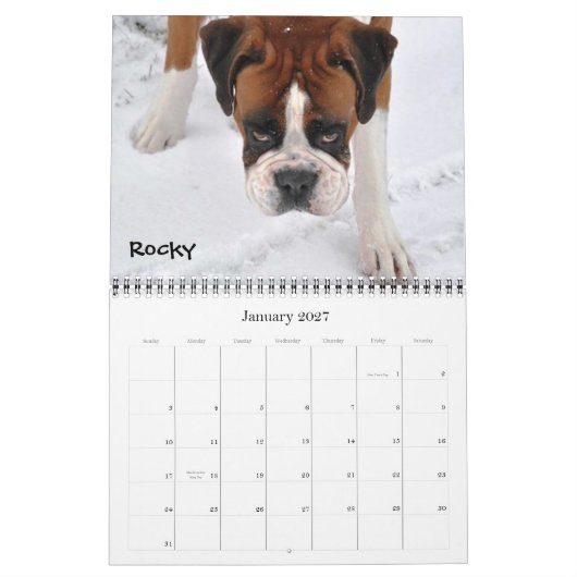 Boxer Crazy Calendar 2012 Kalender (Jan 2027)