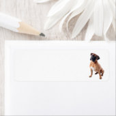 Boxer Dog 2 Etiket (Insitu)