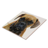 BOXER DOG 2, Pet Love, Best Friend KEEPSAKE Tegeltje (Zijkant)