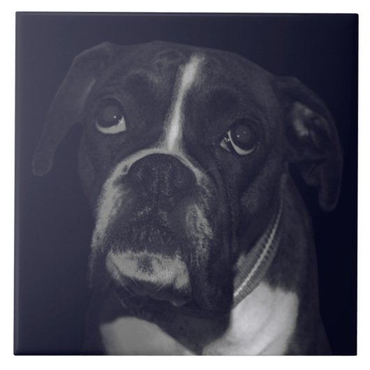 BOXER DOG 4, Pet Love, Best Friend KEEPSAKE Tegeltje (Voorkant)