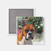 Boxer Dog Art Gifts Magneet (Voorkant / Achterkant)