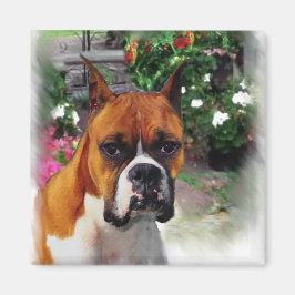 Boxer Dog Art Gifts Magneet