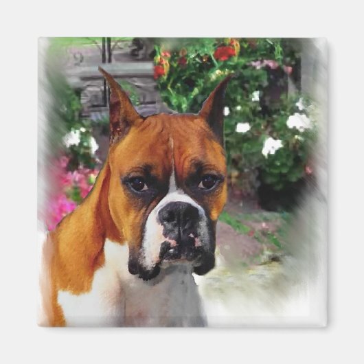 Boxer Dog Art Gifts Magneet (Voorkant)