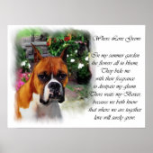 Boxer Dog Art Print (Voorkant)