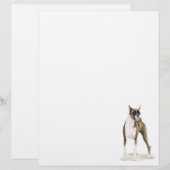 Boxer Dog Art Stationery Letter Head (Voorkant / Achterkant)