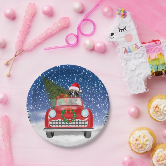 Boxer Dog-auto in sneeuwkerst Papieren Bordje (Feest)