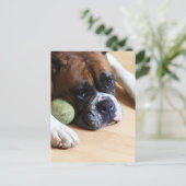 Boxer Dog Briefkaart (Staand voorkant)