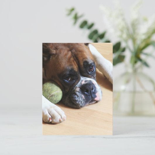 Boxer Dog Briefkaart (Staand voorkant)