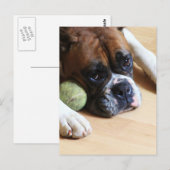 Boxer Dog Briefkaart (Voorkant / Achterkant)