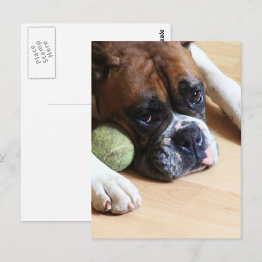 Boxer Dog Briefkaart (Voorkant / Achterkant)