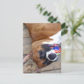 Boxer Dog briefkaart (Staand voorkant)