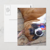 Boxer Dog briefkaart (Voorkant / Achterkant)