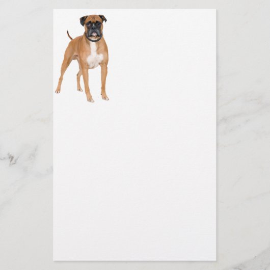 Boxer Dog Briefpapier (Voorkant)