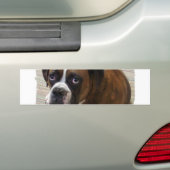 Boxer Dog Bumpersticker (Op auto)