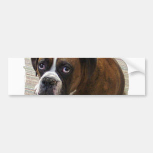 Boxer Dog Bumpersticker