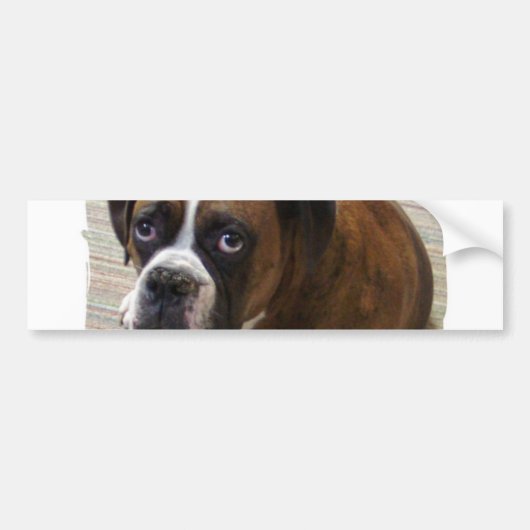 Boxer Dog Bumpersticker (Voorkant)