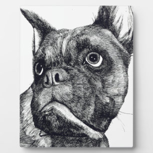 Boxer Dog Cuteness Fotoplaat