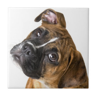 Boxer dog decorative tile tegeltje