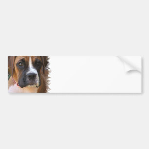 Boxer Dog Design Bumpersticker