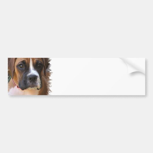 Boxer Dog Design Bumpersticker
 Bumpersticker (Voorkant)