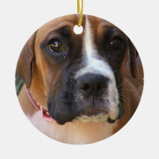 Boxer Dog Design Ornament (Voorkant)