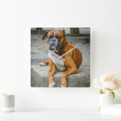 Boxer/dog fotowandklok vierkante klok (Huis)