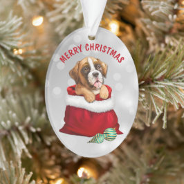 Boxer Dog Gift verrassend Ornament
