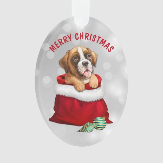 Boxer Dog Gift verrassend Ornament (voorkant)