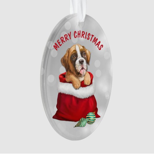 Boxer Dog Gift verrassend Ornament (voorkant)