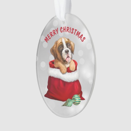 Boxer Dog Gift verrassend Ornament (voorkant)