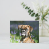 Boxer Dog Headshot Briefkaart (Staand voorkant)