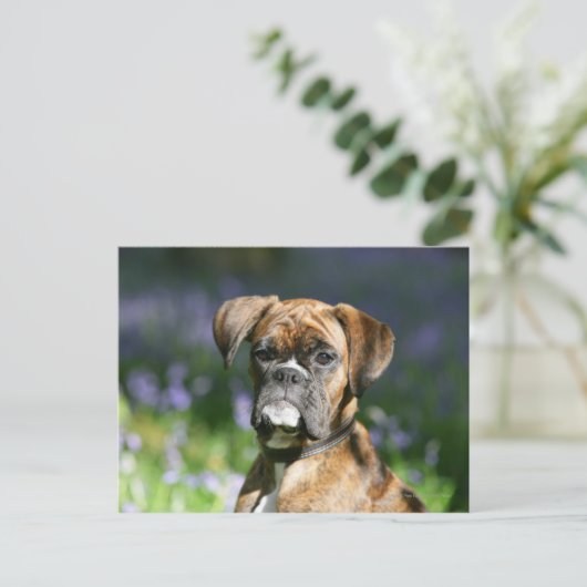 Boxer Dog Headshot Briefkaart (Staand voorkant)