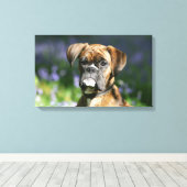 Boxer Dog Headshot Canvas Afdruk (Insitu (Houten vloer))