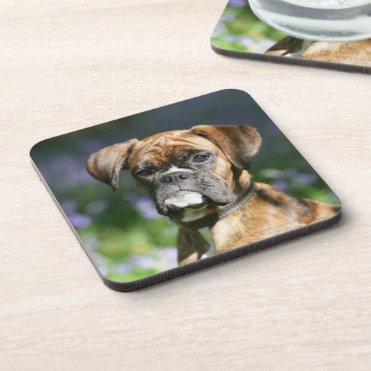 Boxer Dog Headshot Drankjes Onderzetter (Linkerzijde)