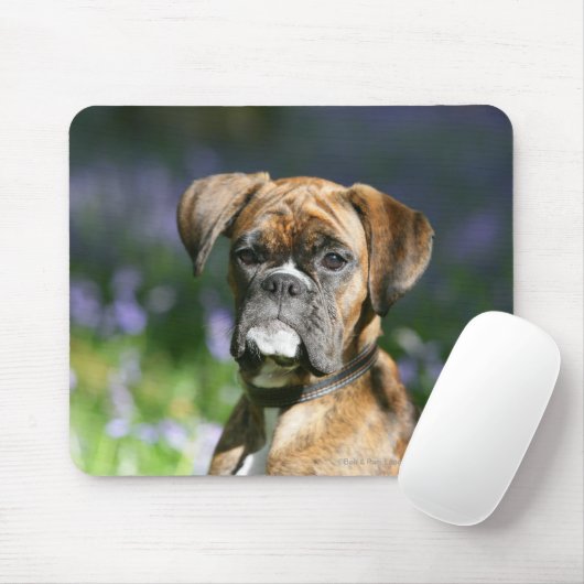 Boxer Dog Headshot Muismat (Met muis)