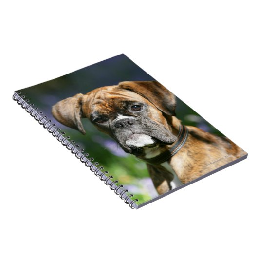 Boxer Dog Headshot Notitieboek (Rechterzijde)
