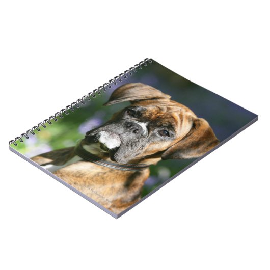 Boxer Dog Headshot Notitieboek (Linkerzijde)