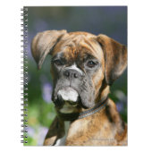 Boxer Dog Headshot Notitieboek (Voorkant)