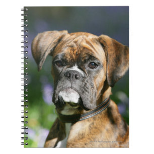 Boxer Dog Headshot Notitieboek