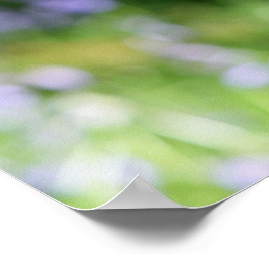 Boxer Dog Headshot Poster (Hoek)