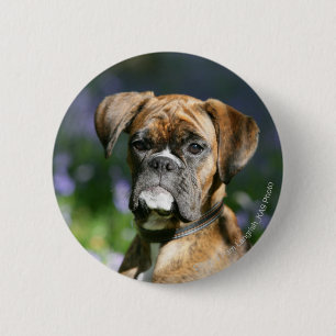 Boxer Dog Headshot Ronde Button 5,7 Cm
