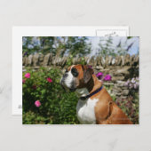 Boxer Dog in de bloemen Briefkaart (Voorkant / Achterkant)