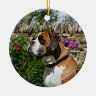 Boxer Dog in de bloemen Keramisch Ornament