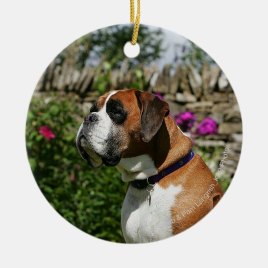 Boxer Dog in de bloemen Keramisch Ornament (Voorkant)