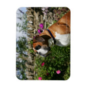 Boxer Dog in de bloemen Magneet (Verticaal)