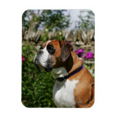 Boxer Dog in de bloemen Magneet (Verticaal)